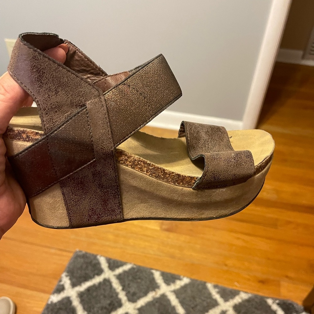 Pierre Dumas wedges